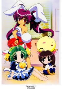 BUY NEW di gi charat - 25287 Premium Anime Print Poster