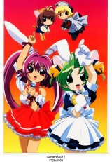 BUY NEW di gi charat - 25289 Premium Anime Print Poster