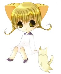 BUY NEW di gi charat - 29810 Premium Anime Print Poster