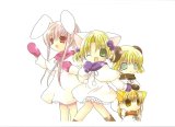 BUY NEW di gi charat - 3213 Premium Anime Print Poster