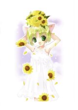 BUY NEW di gi charat - 33388 Premium Anime Print Poster