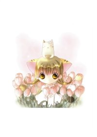 BUY NEW di gi charat - 33390 Premium Anime Print Poster
