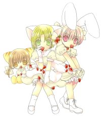 BUY NEW di gi charat - 3367 Premium Anime Print Poster
