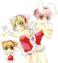BUY NEW di gi charat - 3371 Premium Anime Print Poster