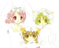BUY NEW di gi charat - 3808 Premium Anime Print Poster