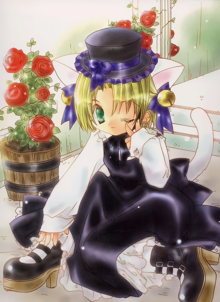 BUY NEW di gi charat - 4778 Premium Anime Print Poster di gi charat - 4778 image