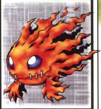 BUY NEW digimon - 179150 Premium Anime Print Poster