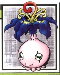 BUY NEW digimon - 179153 Premium Anime Print Poster