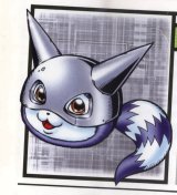BUY NEW digimon - 179351 Premium Anime Print Poster