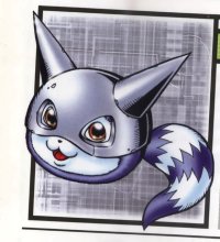 BUY NEW digimon - 179351 Premium Anime Print Poster