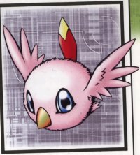 BUY NEW digimon - 179888 Premium Anime Print Poster