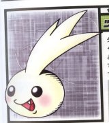 BUY NEW digimon - 179889 Premium Anime Print Poster