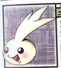 BUY NEW digimon - 179889 Premium Anime Print Poster