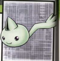 BUY NEW digimon - 179895 Premium Anime Print Poster