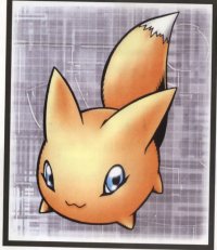BUY NEW digimon - 180143 Premium Anime Print Poster