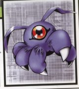 BUY NEW digimon - 180145 Premium Anime Print Poster