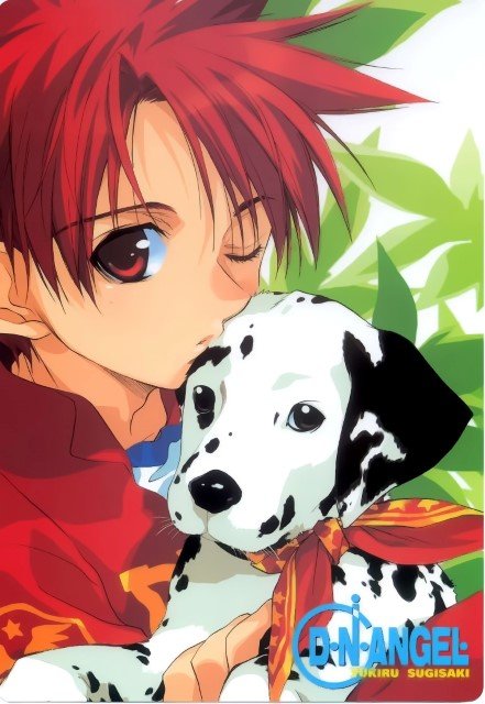 BUY NEW dn angel - 10179 Premium Anime Print Poster dn angel - 10179 image