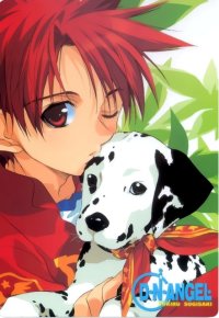 BUY NEW dn angel - 10179 Premium Anime Print Poster