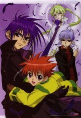 BUY NEW dn angel - 11353 Premium Anime Print Poster