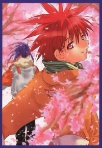 BUY NEW dn angel - 1363 Premium Anime Print Poster
