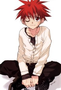 BUY NEW dn angel - 171310 Premium Anime Print Poster