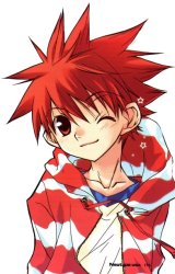 BUY NEW dn angel - 40227 Premium Anime Print Poster