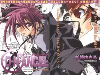 BUY NEW dn angel - 57883 Premium Anime Print Poster