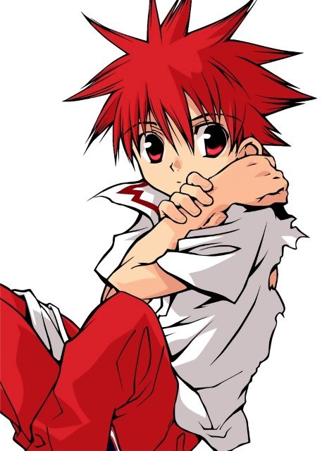 BUY NEW dn angel - 64490 Premium Anime Print Poster dn angel - 64490 image
