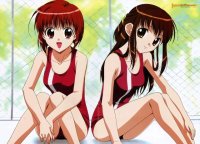 BUY NEW dn angel - 818 Premium Anime Print Poster