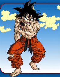 BUY NEW dragonball z - 164453 Premium Anime Print Poster