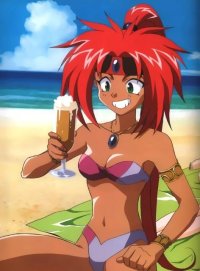 BUY NEW el hazard - 41282 Premium Anime Print Poster