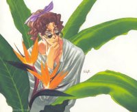 BUY NEW escaflowne - 155512 Premium Anime Print Poster