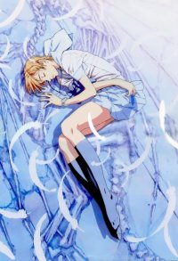 BUY NEW escaflowne - 155720 Premium Anime Print Poster