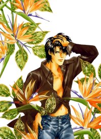 BUY NEW fake - 178133 Premium Anime Print Poster