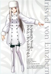 BUY NEW fate stay night - 109499 Premium Anime Print Poster