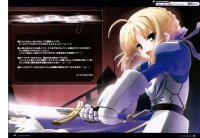 BUY NEW fate stay night - 11008 Premium Anime Print Poster