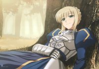 BUY NEW fate stay night - 118622 Premium Anime Print Poster