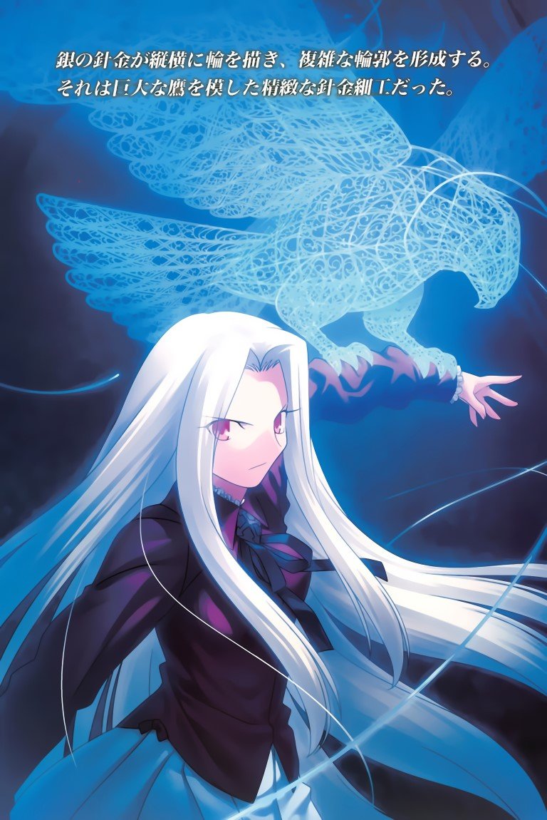 BUY NEW fate stay night - 118738 Premium Anime Print Poster fate stay night - 118738 image