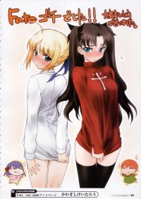 BUY NEW fate stay night - 147919 Premium Anime Print Poster