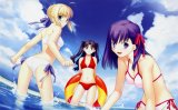 BUY NEW fate stay night - 161717 Premium Anime Print Poster