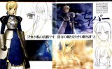 BUY NEW fate stay night - 21069 Premium Anime Print Poster