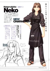 BUY NEW fate stay night - 22017 Premium Anime Print Poster