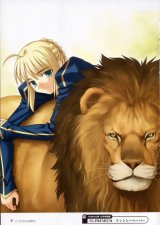 BUY NEW fate stay night - 29661 Premium Anime Print Poster