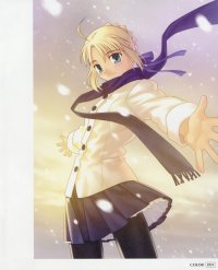 BUY NEW fate stay night - 31752 Premium Anime Print Poster