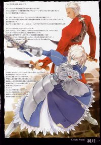 BUY NEW fate stay night - 42682 Premium Anime Print Poster