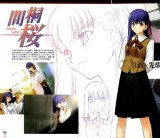 BUY NEW fate stay night - 51241 Premium Anime Print Poster