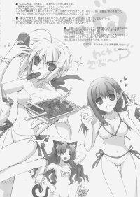 BUY NEW fate stay night - 63262 Premium Anime Print Poster