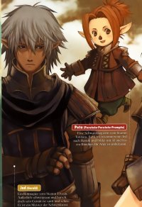 BUY NEW final fantasy xi - 115330 Premium Anime Print Poster