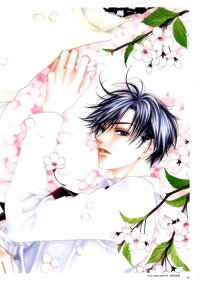 BUY NEW for you in full blossom - 19961 Premium Anime Print Poster