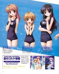 BUY NEW fortune arterial - 154001 Premium Anime Print Poster